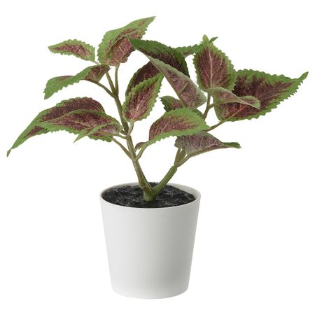 Искусственное растение и кашпо, для дома, улицы Цветная крапива 6 см IKEA FEJKA ФЕЙКА 104.966.13