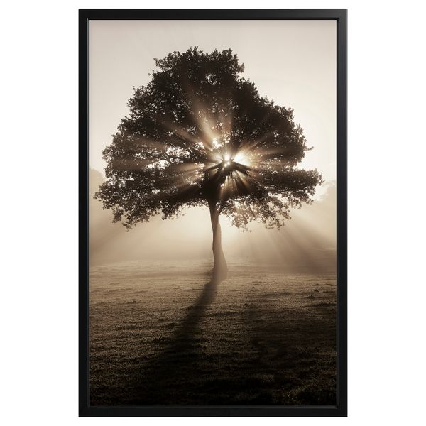 Картина с рамой, 78x118 см, Солнечные полоски, черный IKEA BJÖRKSTA БЬЁРКСТА 594.716.54 - фото 2