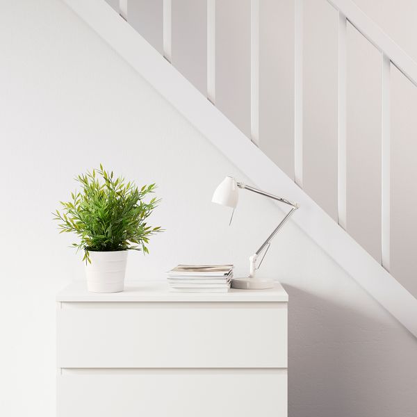 Искусственное растение в горшке, для дома, улицы Комнатный бамбук, 9 см IKEA FEJKA ФЕЙКА 604.339.39 - фото 5