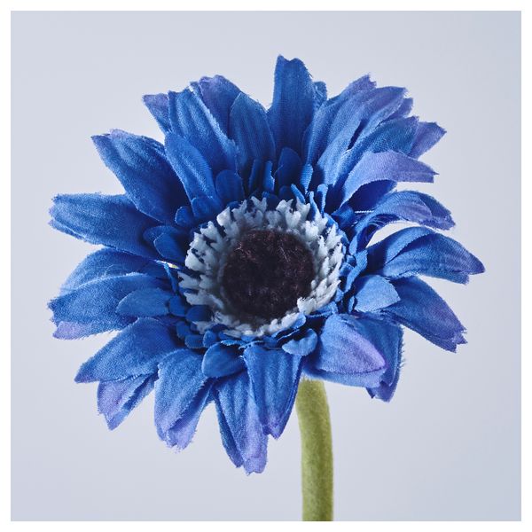 Цветок искусственный СНЭРТИГ, Гербера разные цвета (29 см) - схема-чертеж с размерами