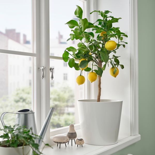 IKEA, дополнительный ракурс - схема-чертеж с размерами