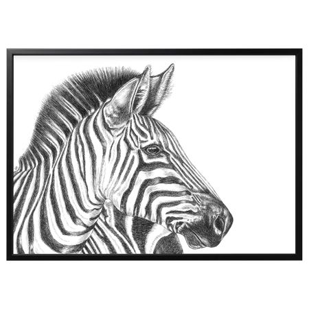 Картина с рамой, Зебра, черный, 140x100 см IKEA BJÖRKSTA БЬЁРКСТА 194.168.29