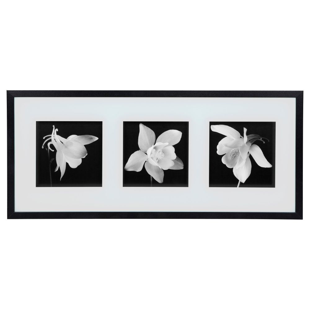 Картина ЭРИКСЛУНД, Аквилегия (72x32 см) - фото 1