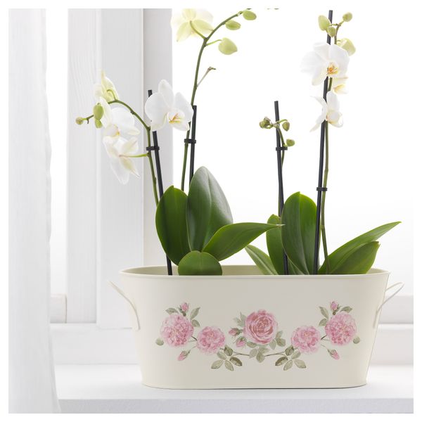 Кашпо с ручками РОЗЕПЕППАР, овал белый с оттенком (30x14 см) - фото 2