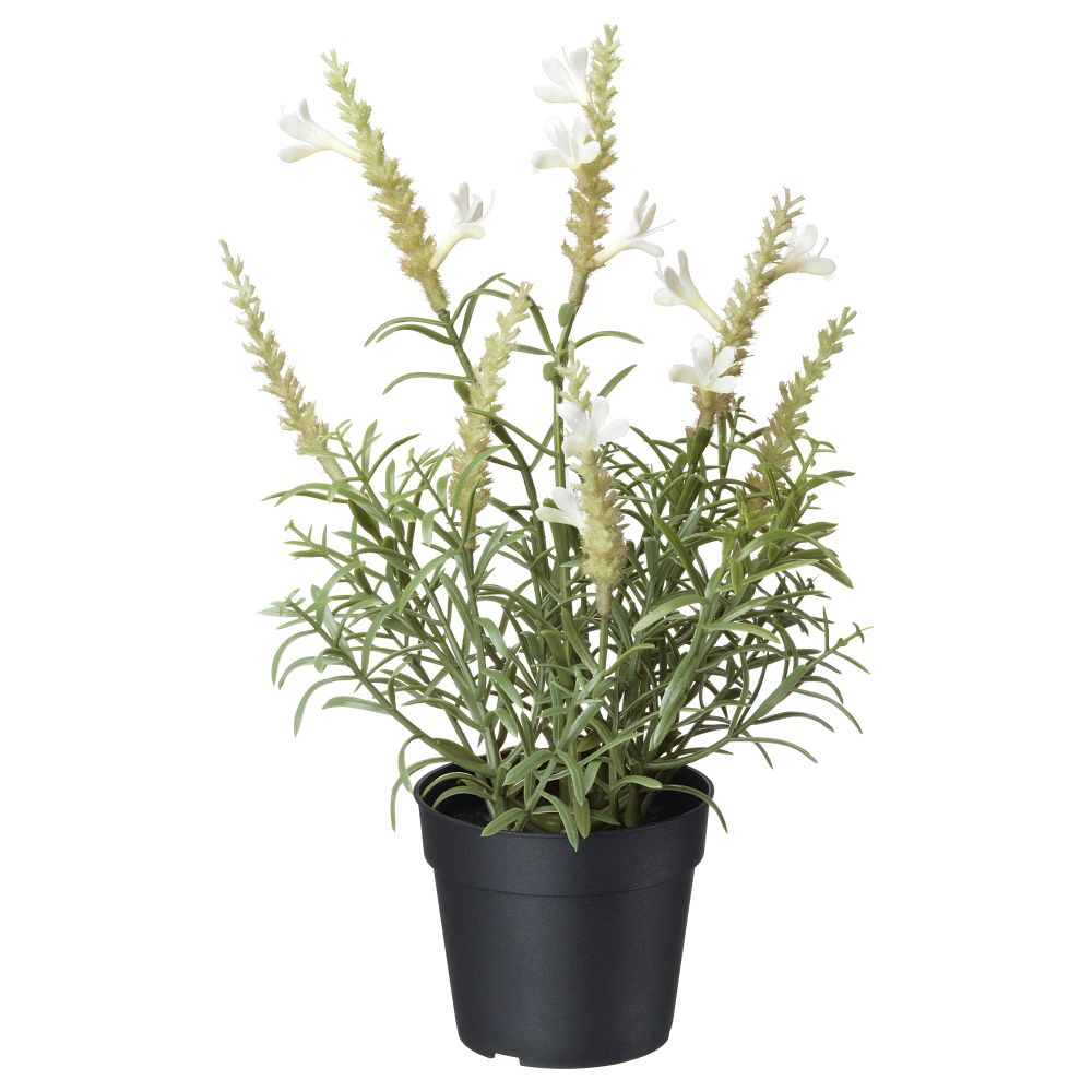 Искусственное растение в горшке ФЕЙКА, лаванда белый (9 см) - фото 1