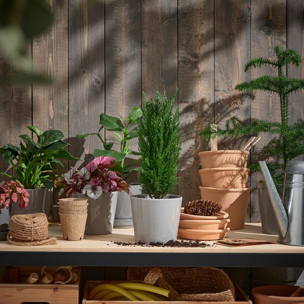 IKEA, дополнительный ракурс