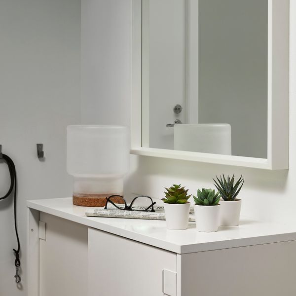 Искусственное растение и кашпо, для дома, улицы Суккулент 6 см 3 шт IKEA FEJKA ФЕЙКА 005.197.66 - фото 3