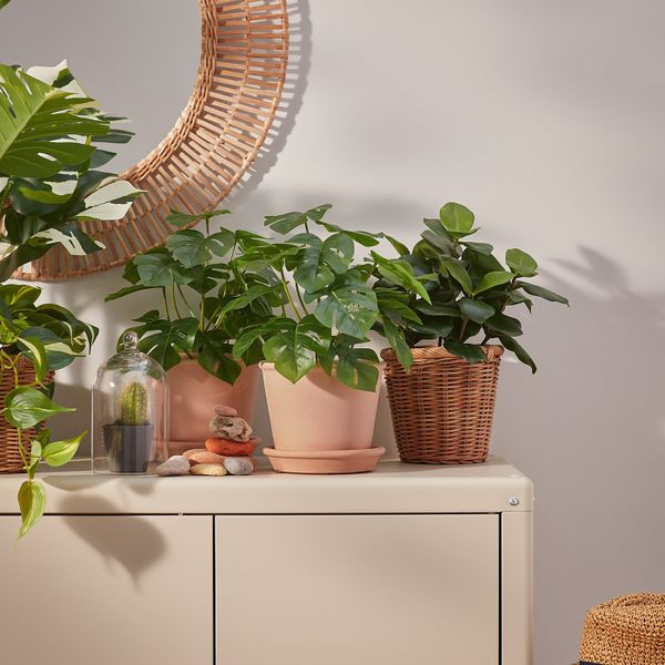 Шкаф для/дома/сада, бежевый 80x81 см IKEA KOLBJÖRN КОЛЬБЬЁРН 104.093.00 - фото 11