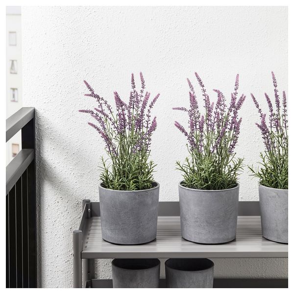 Искусственное растение в горшке ФЕЙКА, д/дома/улицы, лаванда сиреневый (12 см) - фото 2