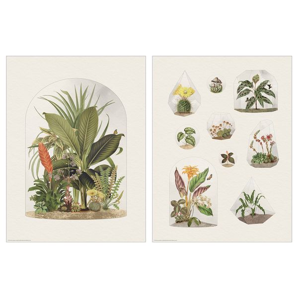 Постер, Тропический террарий, 30x40 см IKEA DRÖMBILD ДРЁМБИЛЬД 205.788.92 - фото 2