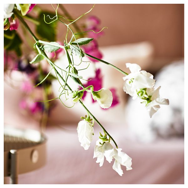 Ароматическая формовая свеча, Душистый горошек, фиолетовый, 30 ч IKEA JÄMNMOD 105.022.23 - фото 4