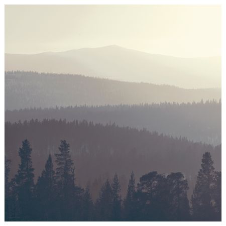 Картина СНОСТОРП, Лесной горизонт (2.5x2.5 м)