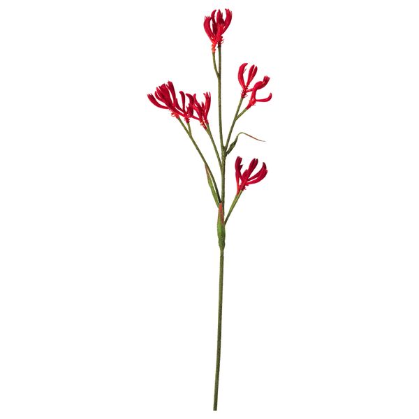 Цветок искусственный СМИККА, Анигозантос красный (63 см) - фото 1