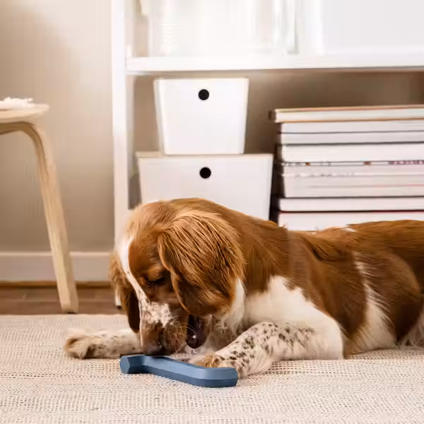 UTSÅDD УТСОДД Игрушка для собаки - темно-синий - фото 4