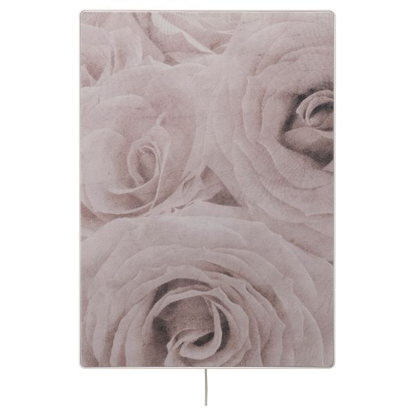 Панель для рамы с динамиком, винтажная романтика II IKEA SYRLIG СИРЛИГMFONISK 705.212.66 - фото 1