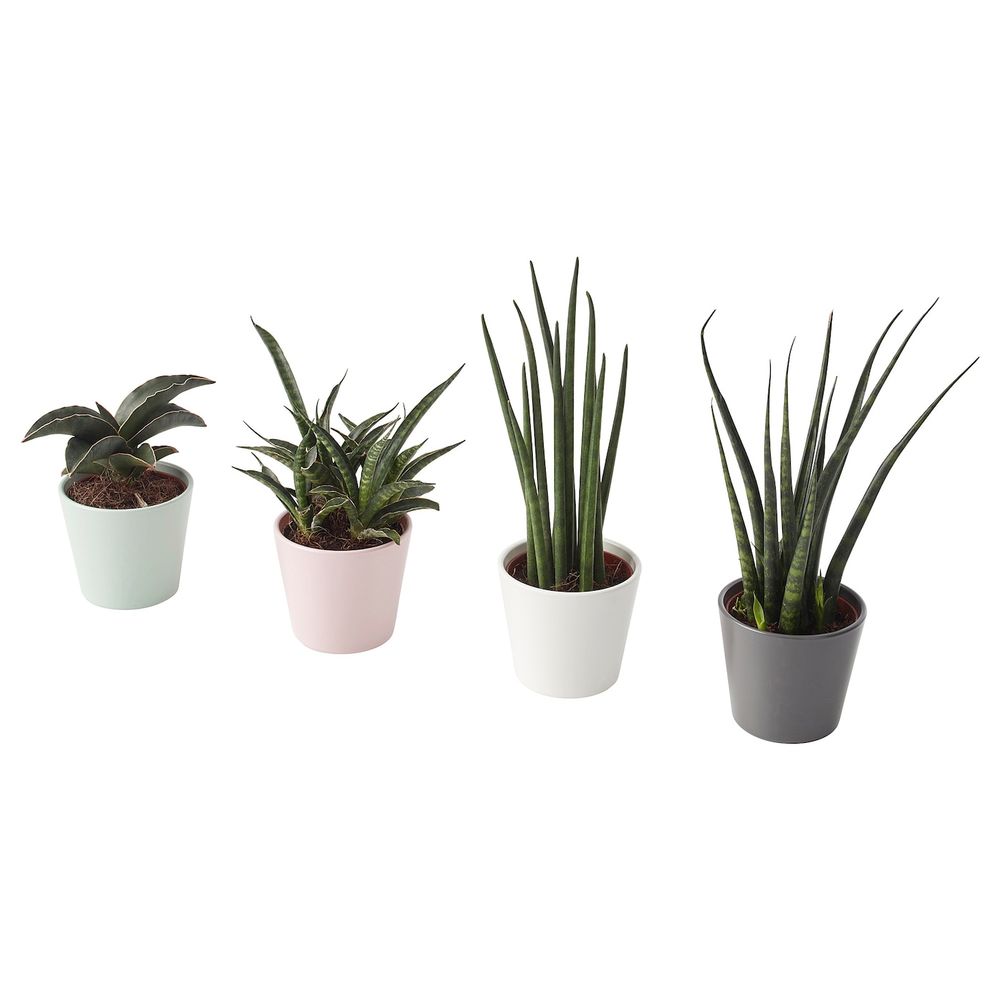 IKEA, вид спереди