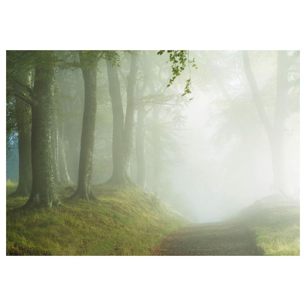 IKEA, вид спереди - схема-чертеж с размерами