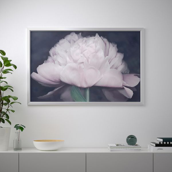 Картина с рамой, Цветок, цвет алюминия 118x78 см IKEA БЬЁРКСТА 092.984.02 - фото 2