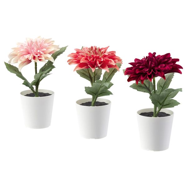 IKEA, вид спереди