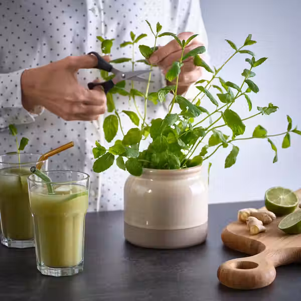 BRUGDHAJ БРУГДХЭЙ Емкость с крышкой - бежевый 1 л - фото 3