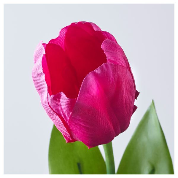 Цветок искусственный СМИККА, Тюльпан темно-розовый (40 см) - схема-чертеж с размерами