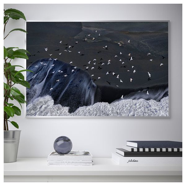 Постер НОРРХАССЕЛ, птицы (91x61 см) - схема-чертеж с размерами