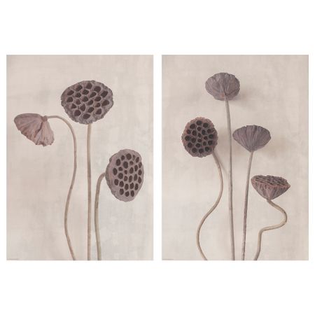 Постер, 50x70 см, Цветы в винтажном стиле IKEA DRÖMBILD ДРЁМБИЛЬД 305.544.52