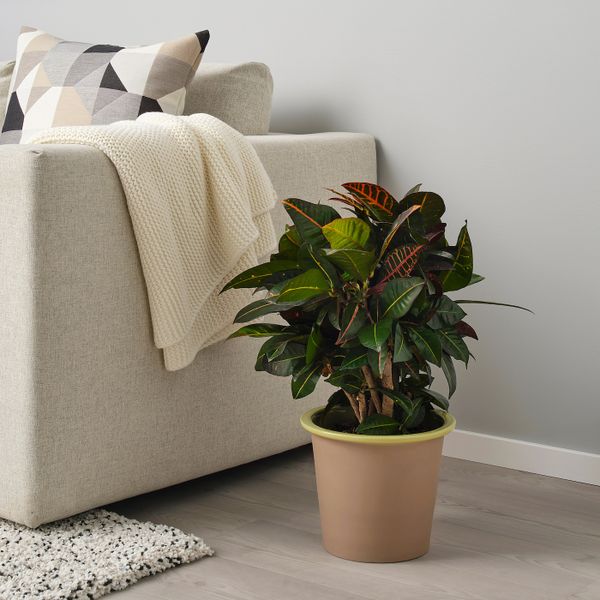 Кашпо, для дома, улицы желто-зеленый 19 см IKEA БЕРГАМОТТ 404.522.26 - фото 2