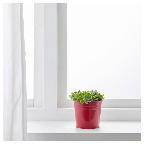 Кашпо СОККЕР, д/дома/улицы, красный (9 см) - схема-чертеж с размерами