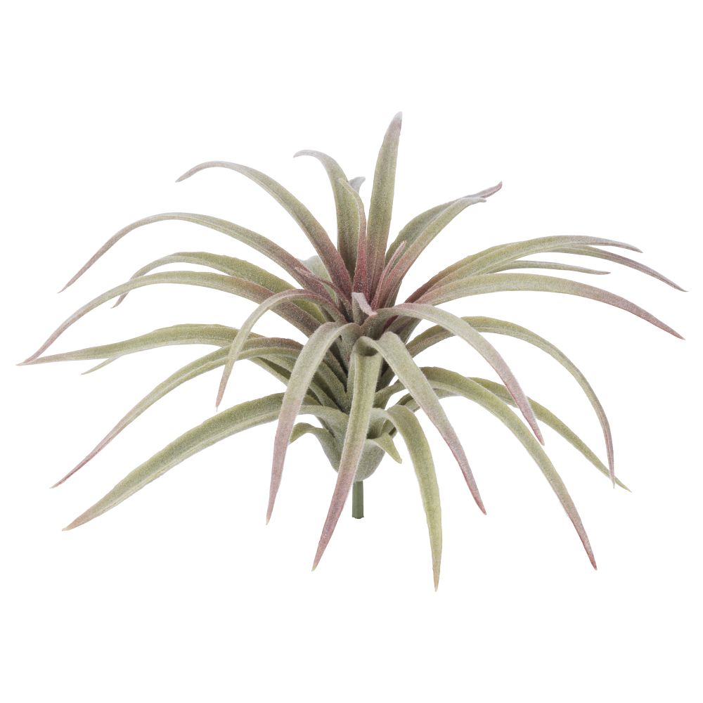 Искусственный аэрофит СМИККА, Тилландсия, зеленый (10 см) - фото 1