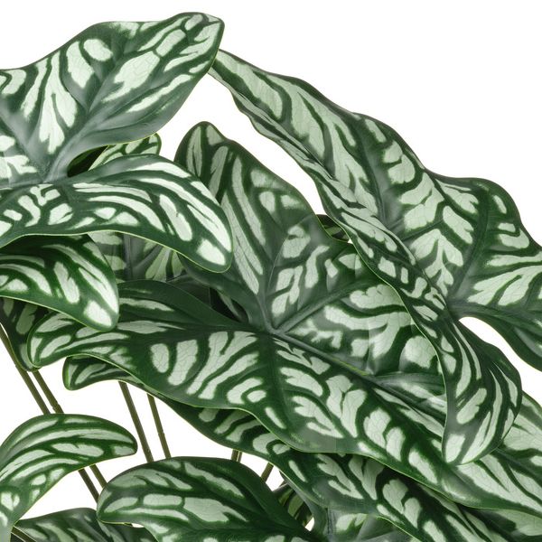 FEJKA Искусственное растение в горшке - д/дома/улицы Церцестис удивительный 15 см - схема-чертеж с размерами