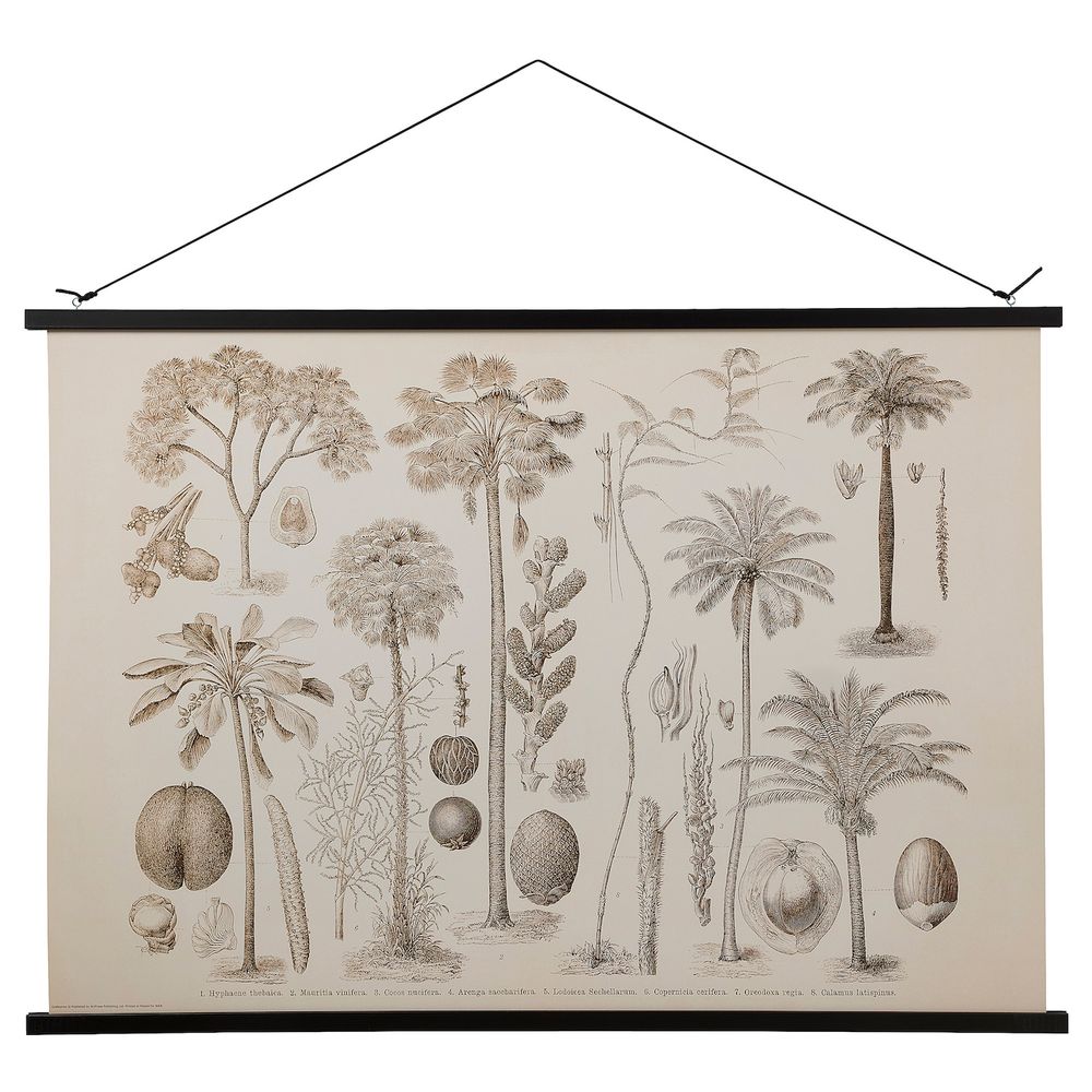 Постер с подвесом, Старинное наглядное пособие, 100x70 см IKEA ПОЛЬХУЛЬТ 304.716.78 - схема-чертеж с размерами