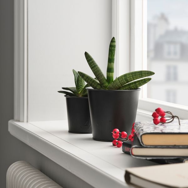 Кашпо, 12 см, для дома, улицы антрацит IKEA ÅKERBÄR 705.515.50 - фото 3