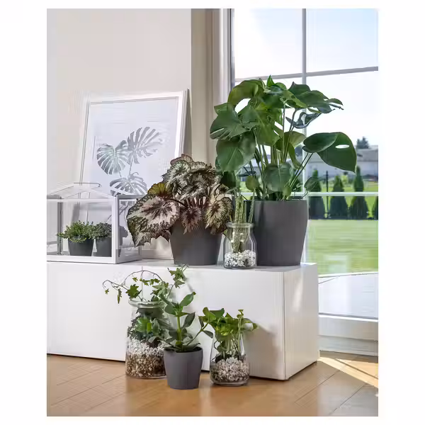 PERSILLADE Кашпо - темно-серый 12 см - фото 3