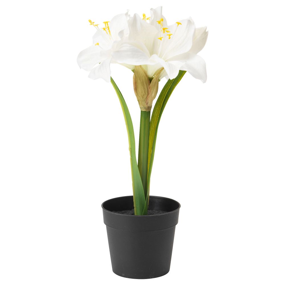 Искусственное растение в горшке ФЕЙКА, Амариллис белый (9 см) - фото 1