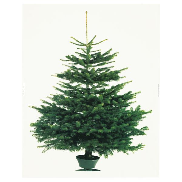 Отрез ткани, рождественская елка белый, зеленый 150x220 см IKEA ВИНТЕР 2020 204.759.74 - фото 1