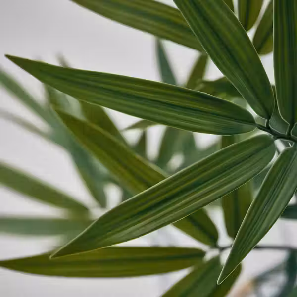 FEJKA Искусственное растение в горшке - схема-чертеж с размерами