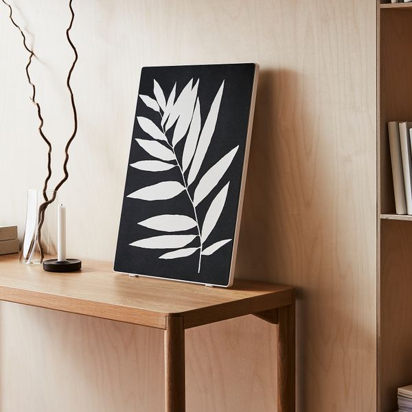 Панель для рамы с динамиком, природный силуэт — рост IKEA SYRLIG СИРЛИГMFONISK 205.212.64 - фото 5