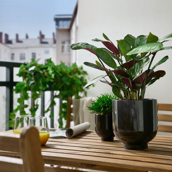 Кашпо, 15 см, для дома, улицы антрацит IKEA DRÖMSK ДРЁМСК 805.451.39 - фото 4