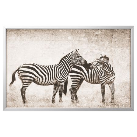 Картина с рамой БЬЁРКСТА, Зебры, цвет алюминия (78x118 см)