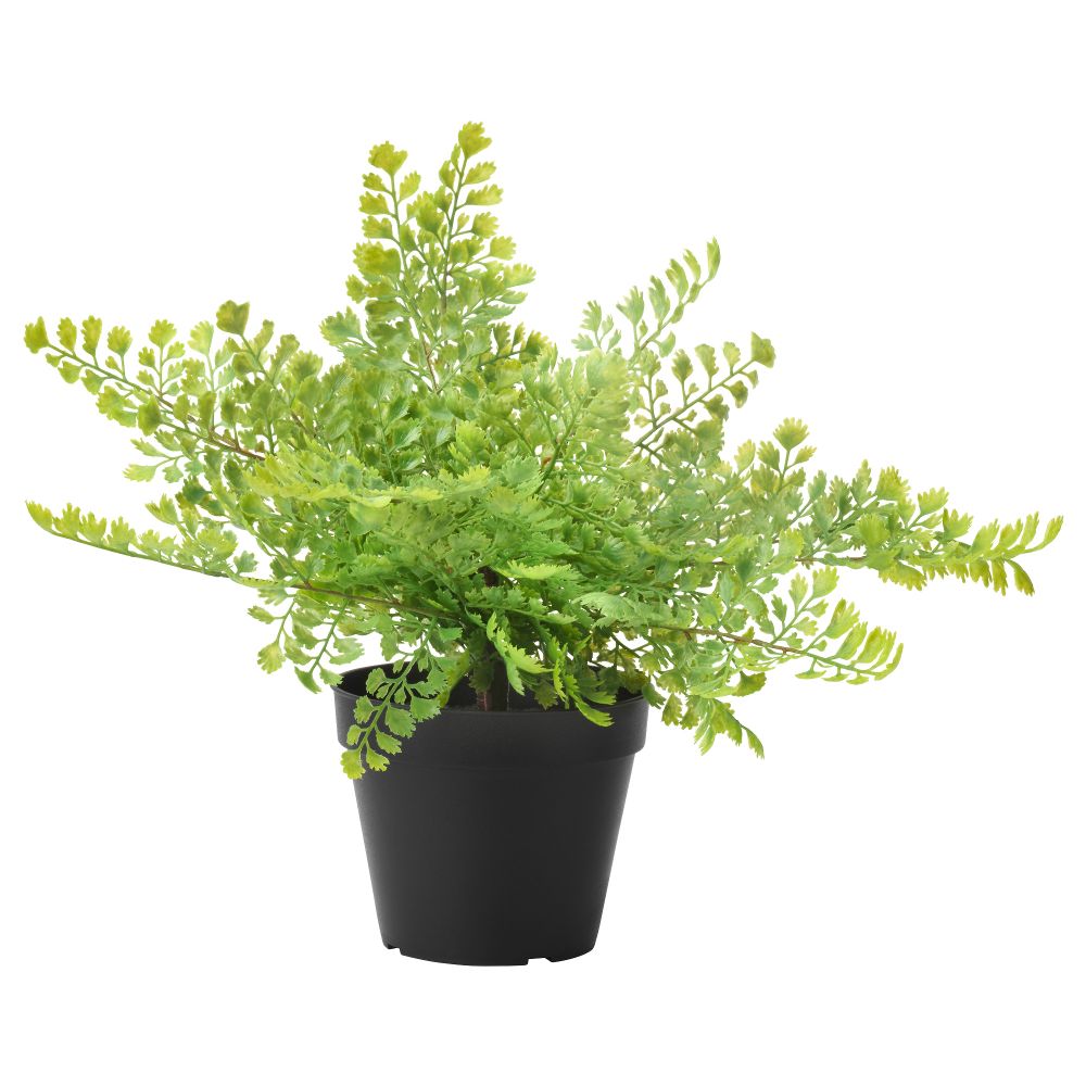 Искусственное растение в горшке ФЕЙКА, д/дома/улицы, Папоротник (12 см) - фото 1