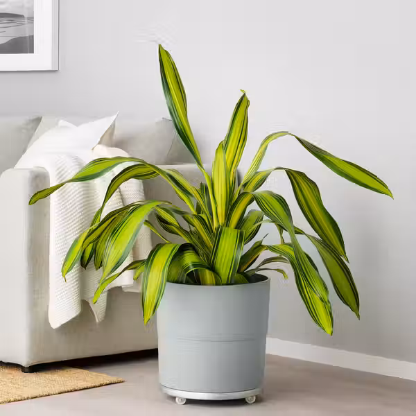 NYPON Кашпо - д/дома/улицы серый 32 см - фото 4