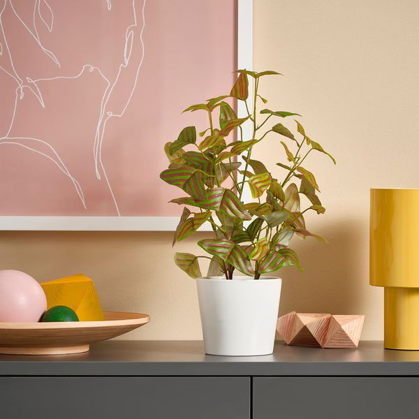 FEJKA Искусственное растение в горшке - д/дома/улицы Растение-бабочка 9 см - фото 2