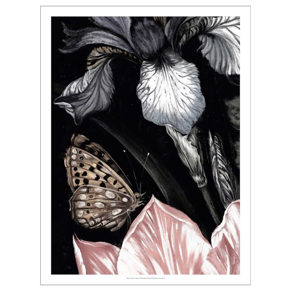 Картина, Бабочка 50x70 см IKEA ПЬЕТТЕРИД 404.482.01 - схема-чертеж с размерами