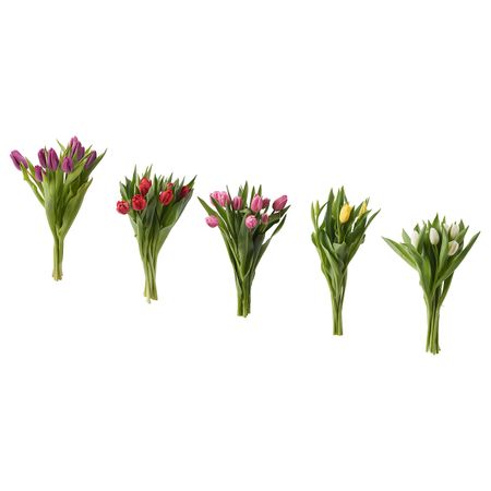 Цветочный букет, Тюльпан IKEA BLOMMA ЦВЕТОК 101.464.17