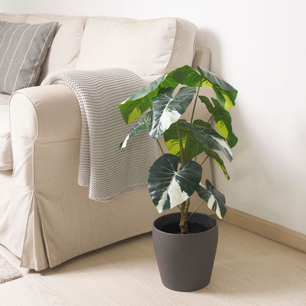 Искусственное растение в горшке, 19 см, для дома, улицы Слоновье ухо IKEA FEJKA ФЕЙКА 305.599.54 - фото 3