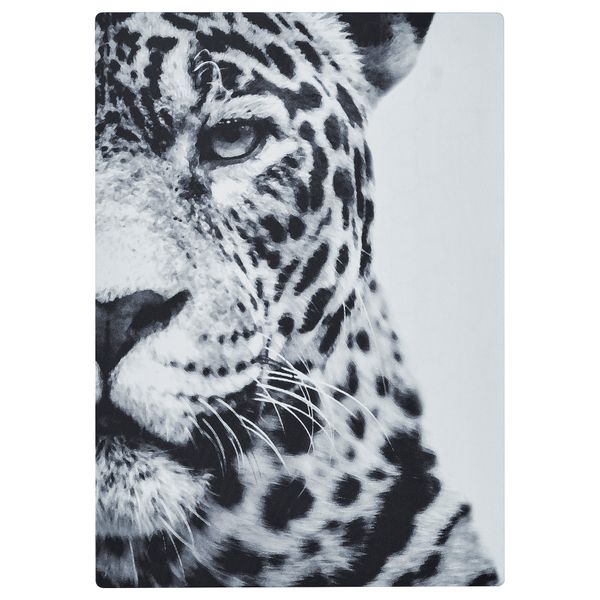 Панель для рамы с динамиком, Ягуар IKEA SYRLIG СИРЛИГMFONISK 105.478.63 - фото 2