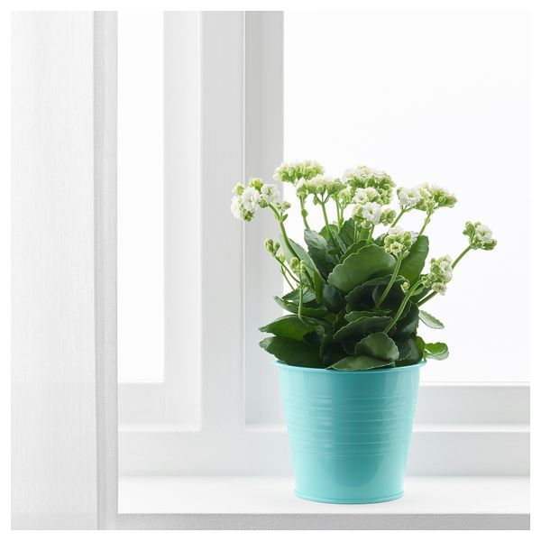 Кашпо СОККЕР, д/дома/улицы, бирюзовый - фото 2
