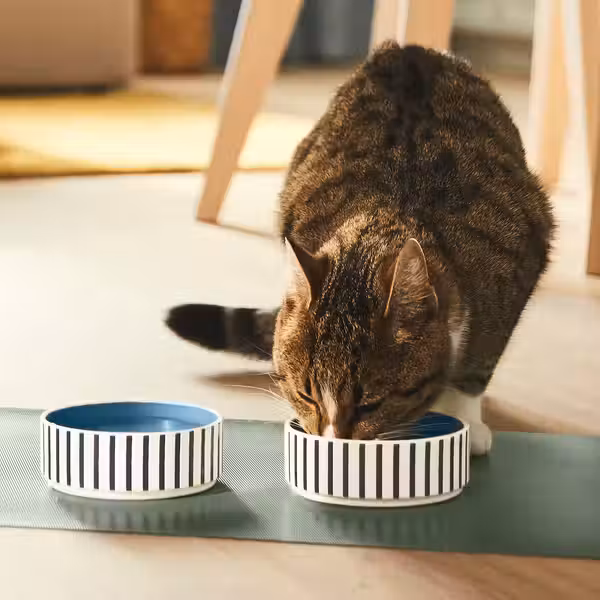 UTSÅDD УТСОДД Миска для домашнего питомца - орнамент «полоска» черно-синий/серо-синий 11 см - фото 3