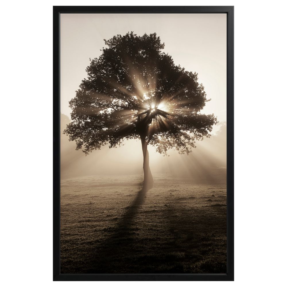 Картина с рамой, 78x118 см, Солнечные полоски, черный IKEA BJÖRKSTA БЬЁРКСТА 594.716.54 - фото 1